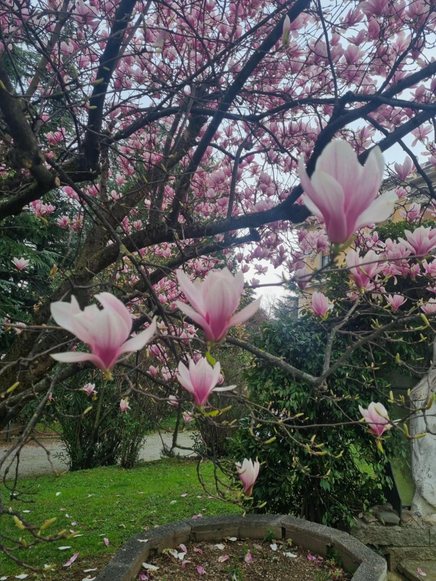 Villa San Giuseppe 파시라노 외부 사진